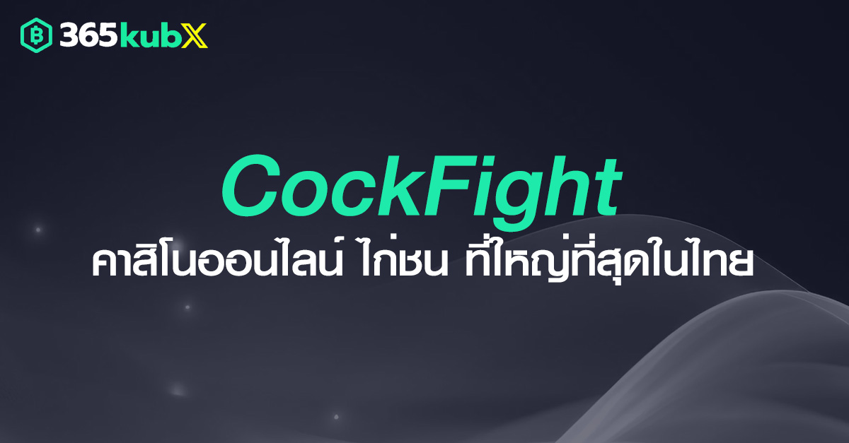 CockFight คาสิโนออนไลน์ ไก่ชน ที่ได้รับความนิยมสูงสุด