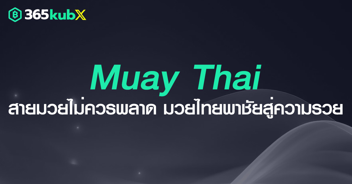 Muay Thai (มวยไทย) ยิ่งเล่นยิ่งรวย เชียร์มันส์ทุกคู่ สู้เพื่อชัยชนะ